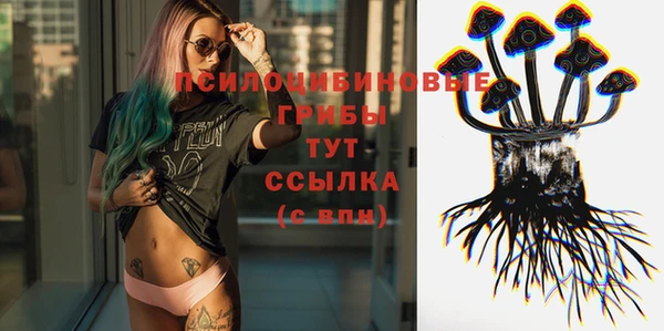 шишки Зеленокумск