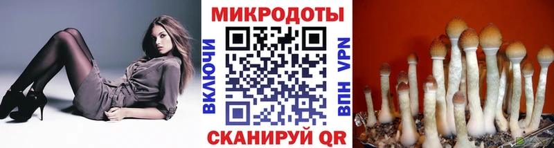 Купить где  Змеиногорск  Псилоцибиновые грибы мухоморы 