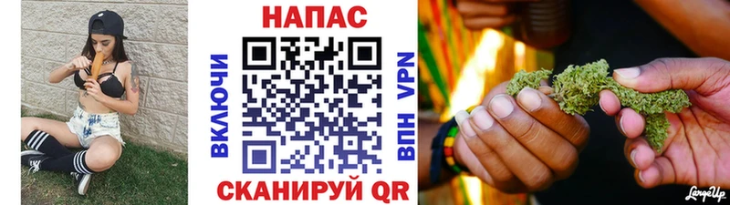 Купить закладки  Змеиногорск  Бошки Шишки семена 